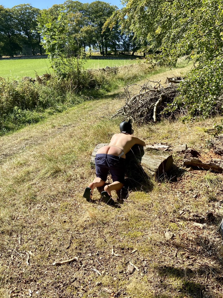 PUP_Xander21's tweet photo. What’s would you do if you founds me like this on your walkies 😜 https://t.co/uQMiMnzi6x