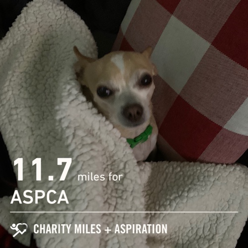 allibolt37's tweet photo. 11.7 @CharityMiles for @TeamASPCA. https://t.co/lbHkktXheS