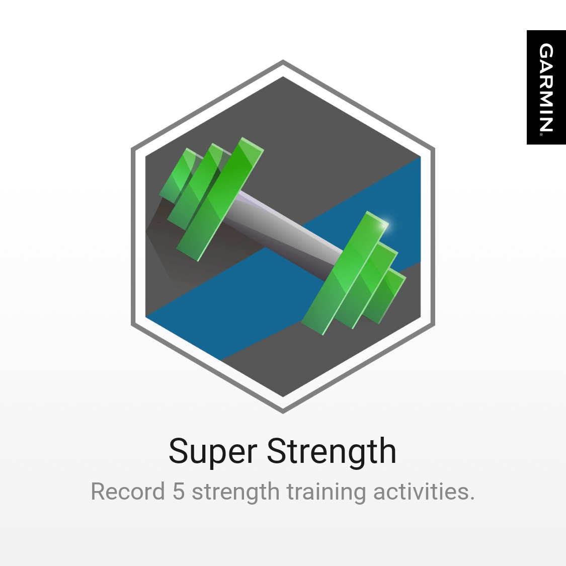 TheRomeM's tweet photo. I earned a badge on Garmin Connect. #garmin #beatyesterday https://t.co/wmtcgvJ5eI