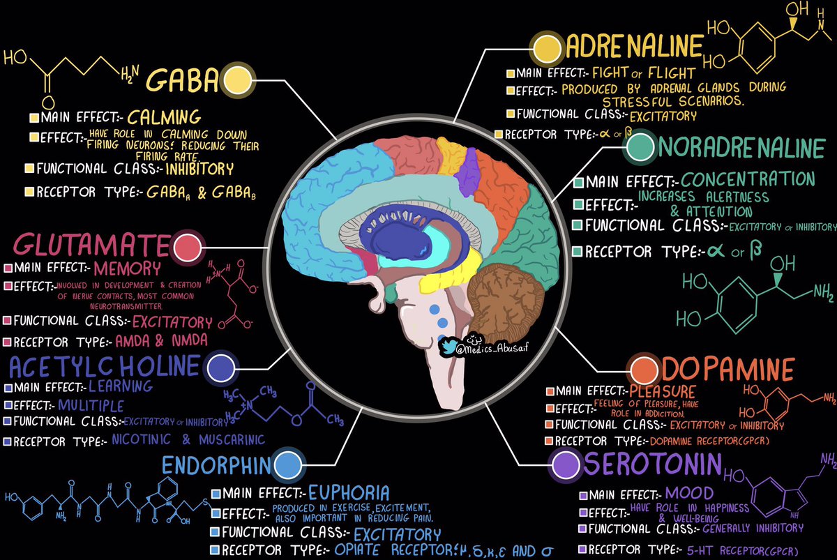 Great infographic of neurotransmitters and their effects. Credit: <a href="/medics_AbuSaif/">يـزّن الغماس</a>