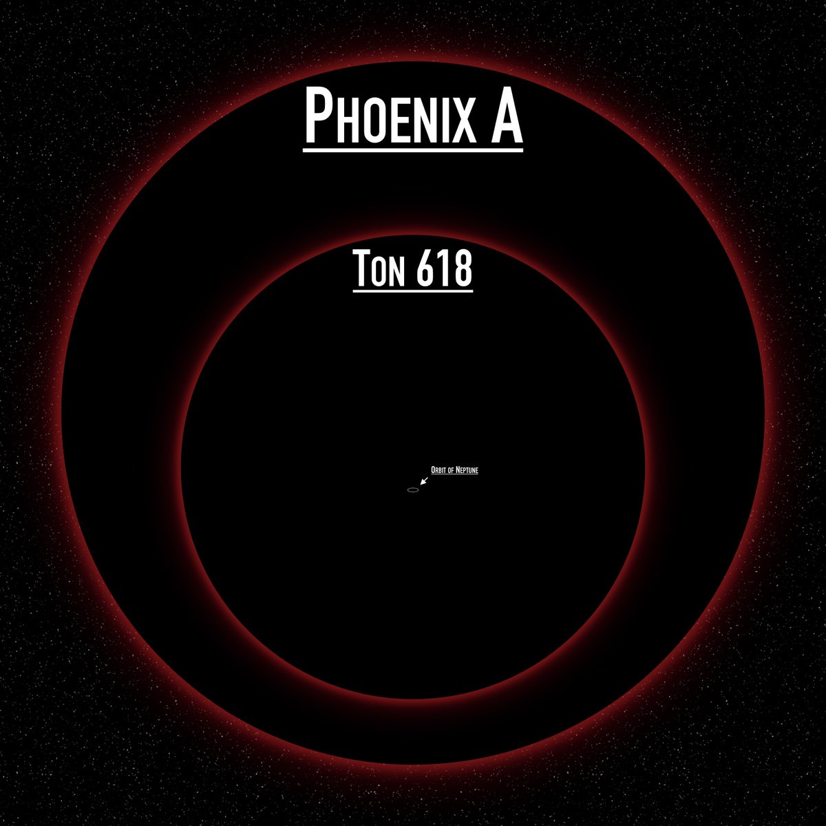 すきなもの なあに? 小1国語（光村図書）すきなもの、なあに③ - YouTube