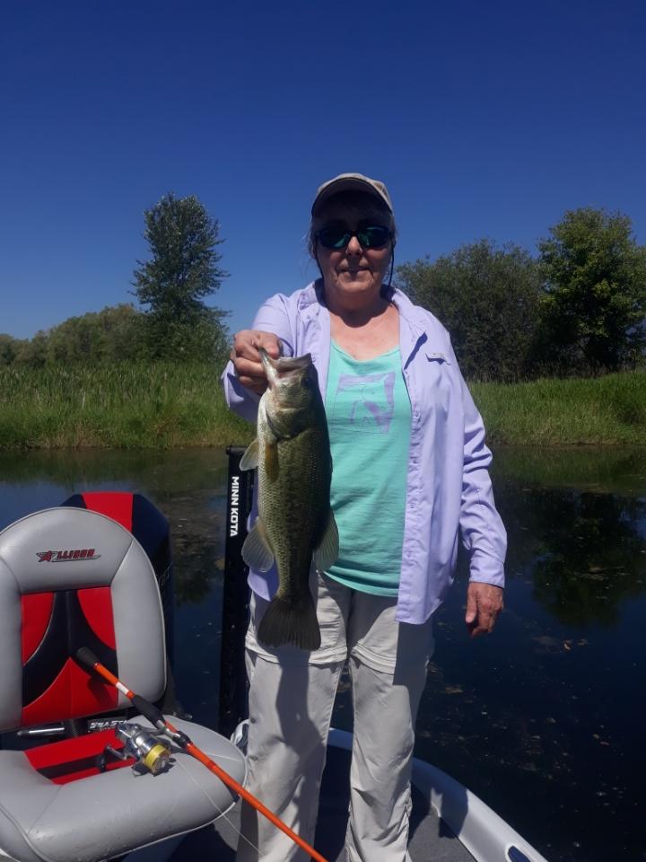 RanchEmu's tweet photo. Fish'n on Flathead Lake was beautiful! Got some nice catches! This is our favorite channel!
#montanaemuranch #emutrients #emuplus #EMUGency #emu #emus #Emulove #emuoil #fishingtime #fishingaddict #fishingtrip #fishingislife #fishinglife #fishing #kalispellmontana #flatheadriver https://t.co/CrNY9Gqy0r