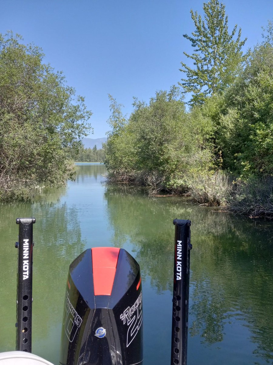 RanchEmu's tweet photo. Fish'n on Flathead Lake was beautiful! Got some nice catches! This is our favorite channel!
#montanaemuranch #emutrients #emuplus #EMUGency #emu #emus #Emulove #emuoil #fishingtime #fishingaddict #fishingtrip #fishingislife #fishinglife #fishing #kalispellmontana #flatheadriver https://t.co/CrNY9Gqy0r