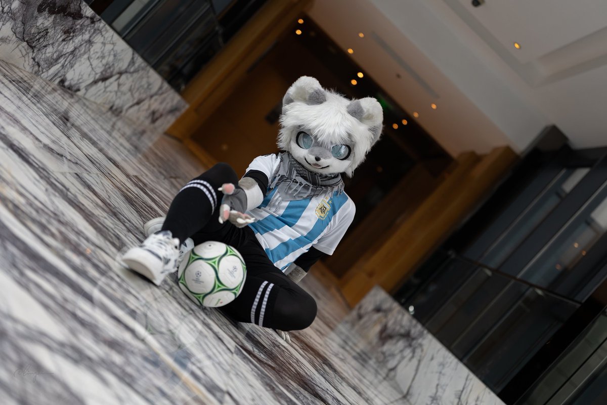 #FursuitFriday Do u wanna play football?⚽