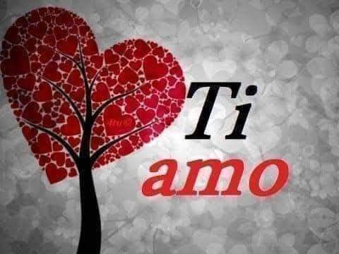 Giusepp29846536's tweet photo. @Curr1Curro SEI BELLISSIMA SAI COSA VOGLIO FARE CON TE AMORE MIO TE LO DICO SUBITO TI VOGLIO SPOSARE E TI VOGLIO SCOPARE TUTTA BOCCA TETTE FICA CULO COSCE PIEDI MMMMMM CE LO DURO IL CAZZO AMORE MIO TI AMO FAMMI VEDERE LA FICA IN PRIVATO AMORE MIO TI AMO TI AMO 🌹💦🍆❤️😍💋😘💍🌹💦😘💍💦 https://t.co/Iq9TwfAXWP