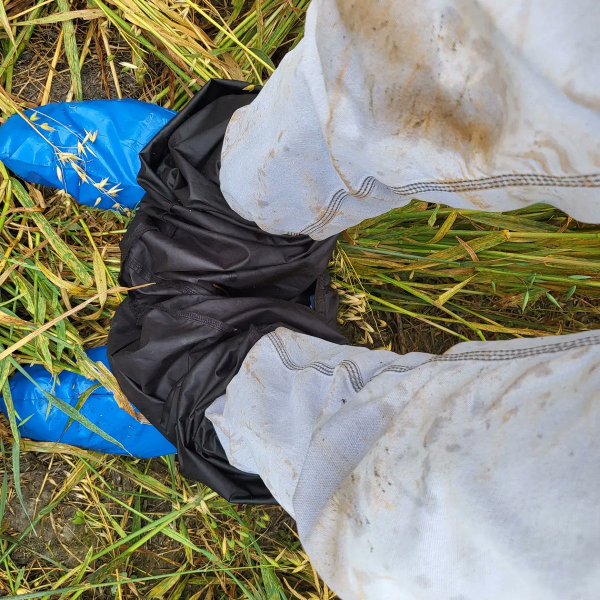 David A. Kaminski tweet media