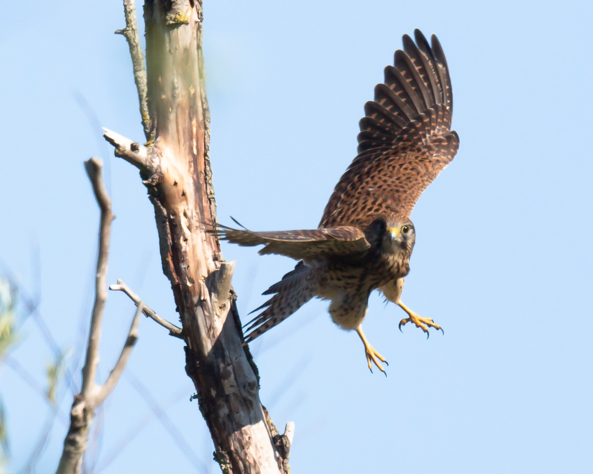 Simon Waters tweet media