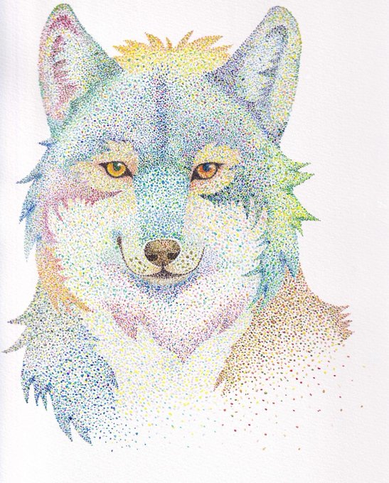 「国際オオカミの日」 illustration images(Latest))