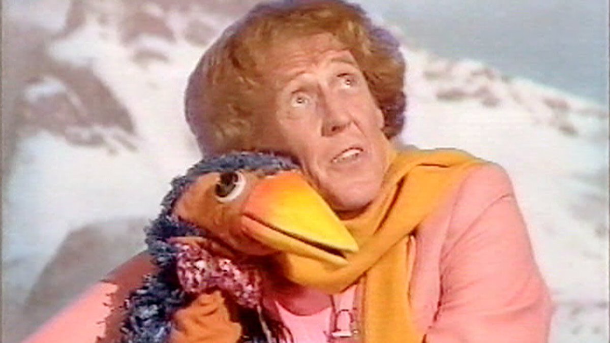 mcshamrock's tweet photo. @NickiDonohoe Weather weather all together what's it gonna do?
We don't know and so let's ask Weatherman Emu #EBC1 https://t.co/L8pKdXiibF