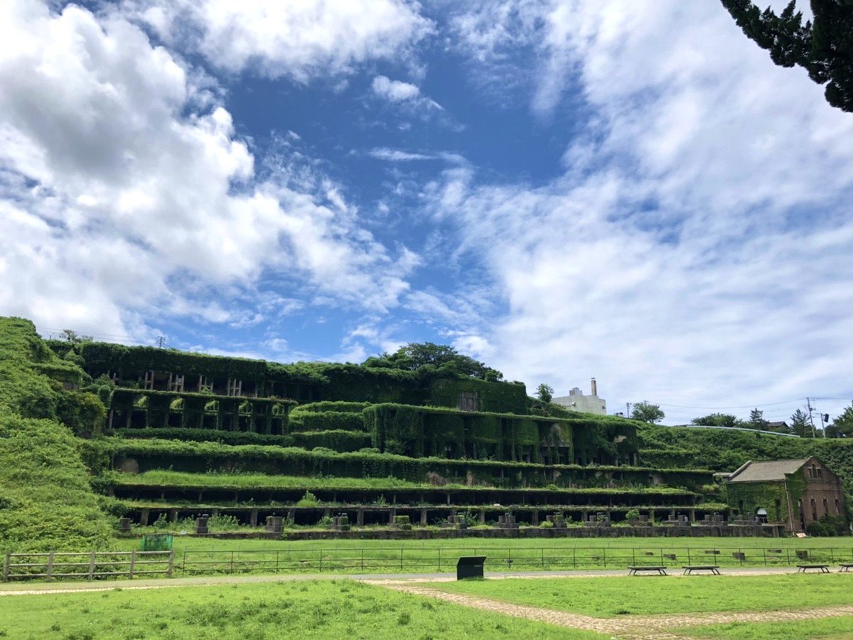 鎌田 杏 tweet media