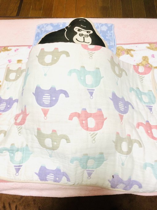 娘ちゃんは今日は嫁ちゃんの実家にお泊まり。かわりにうちにはゴリラが寝てる。 