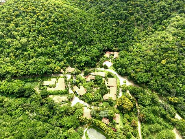 CrowtherLab's tweet photo. Bringing the #AtlanticForest back to life: a family-led community project in Rio Doce Valley, #Brazil created a regional hub for #restoration, working to protect & restore springs and streams to improve water quality 🌳💦
https://t.co/HMMeRx5zTO #restories #forestrationints https://t.co/KPzywvvyqy