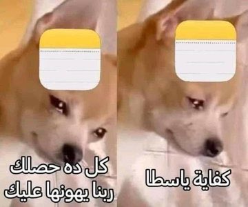 Toonzatt's tweet photo. وانا بشكي ل nots. https://t.co/UERFMWh1lM