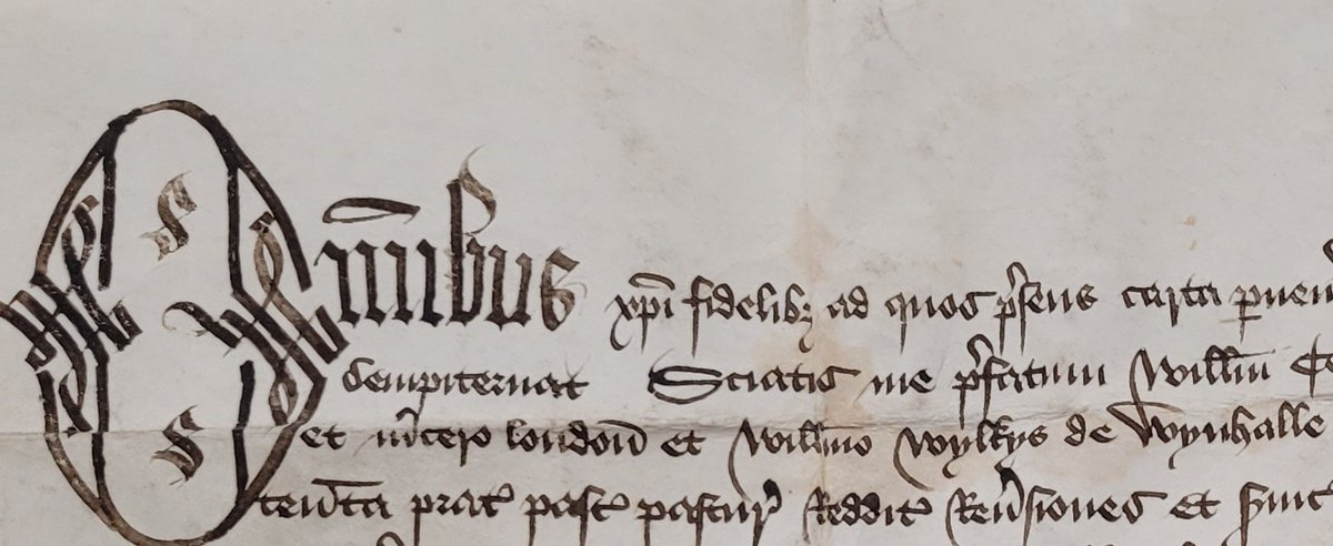 StaffsPNProject's tweet photo. A possible new spelling for Willenhall, 'Willelmo Wylkys de Wynhalle' (dated 1494) #Staffordshire #placenames https://t.co/z2GSVJgD2Q