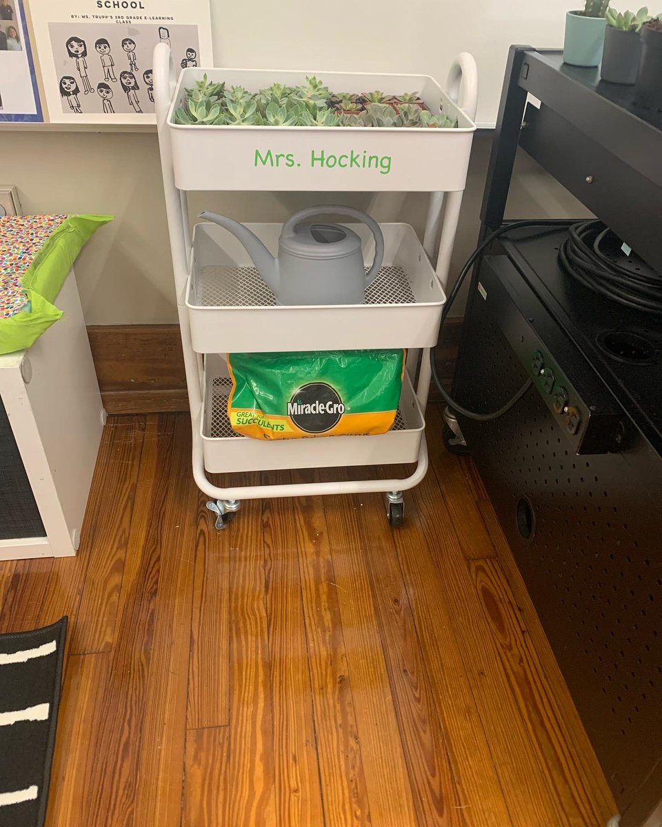 Mrs. Hocking tweet media