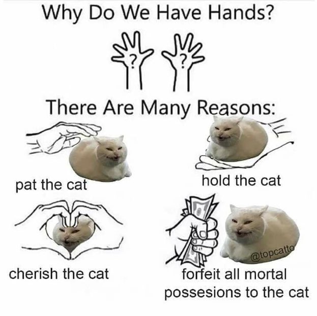 ︎︎︎

SO TRUE I HATE THE CURRENT WEATHER

︎︎︎