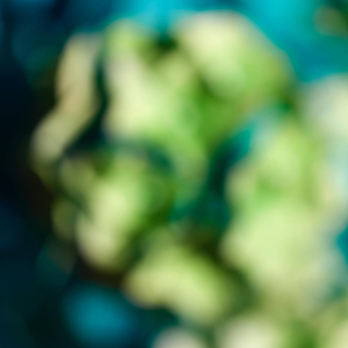 graham fudger tweet media