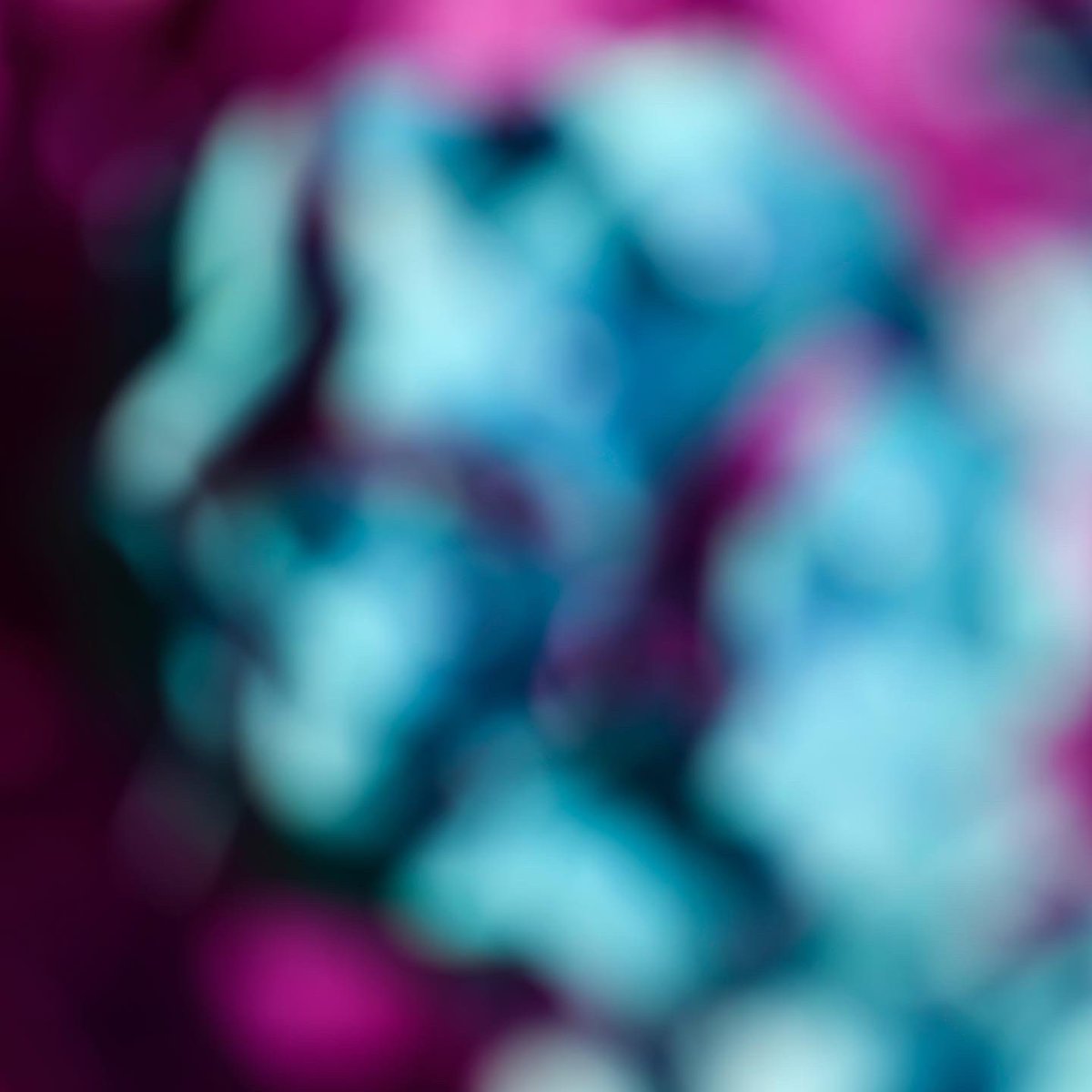 graham fudger tweet media