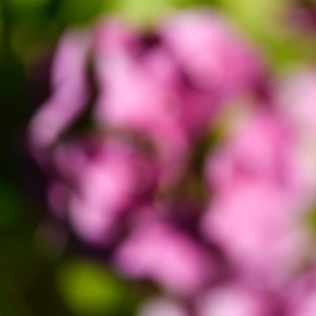 graham fudger tweet media