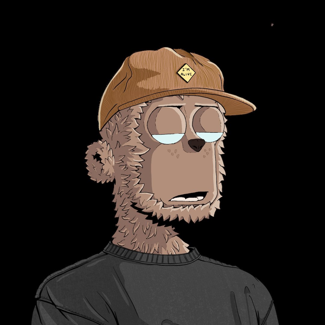 Alex 🥷 tweet media