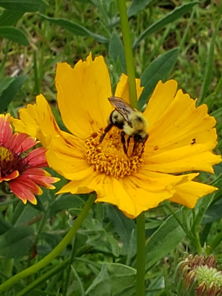 The Saturday snackbar is open💚💚💚