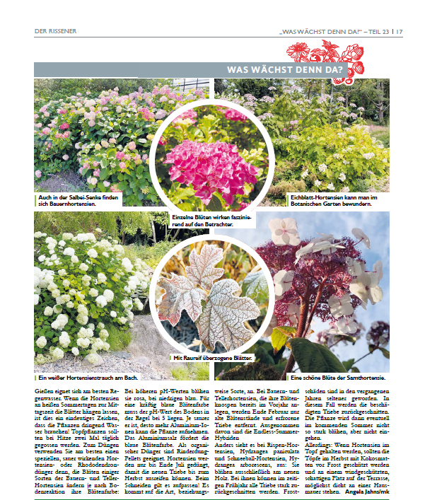 BotGartenHH's tweet photo. Neu im "Rissener" https://t.co/WQEzzJJ7wM