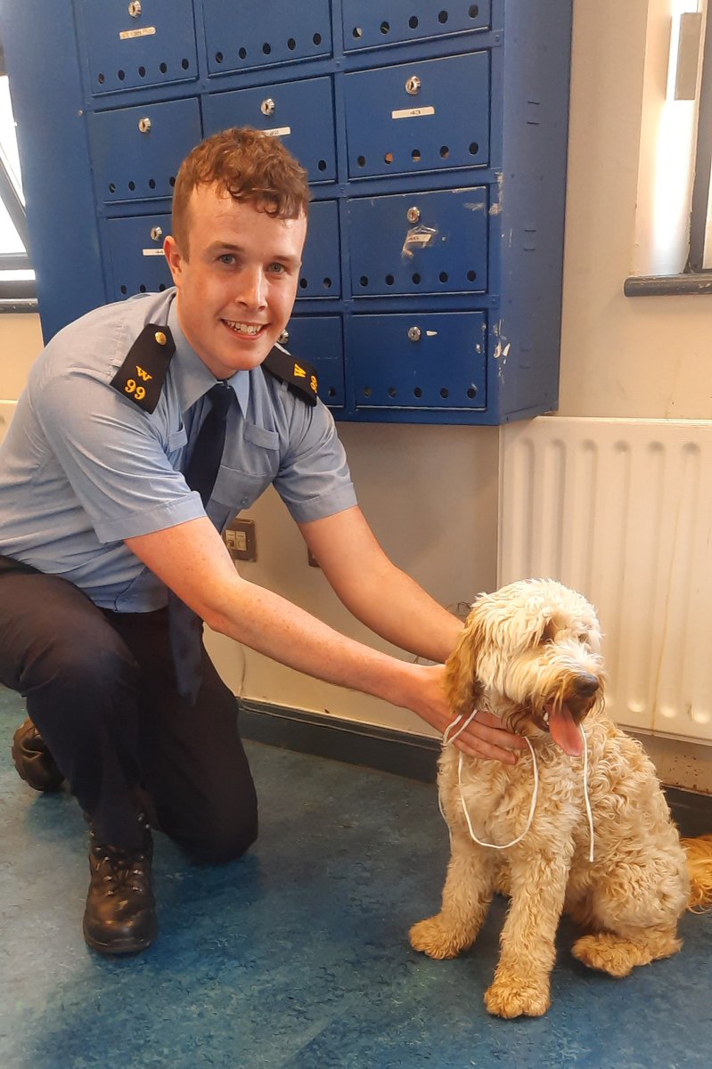 This dog was handed into Blackrock Station in Co Dublin last night after being found in Monkstown and is now keeping Garda Brehon company! If you have any information that can assist in reuniting this dog with its owner, please contact Blackrock Garda Station at (01) 666 5200.