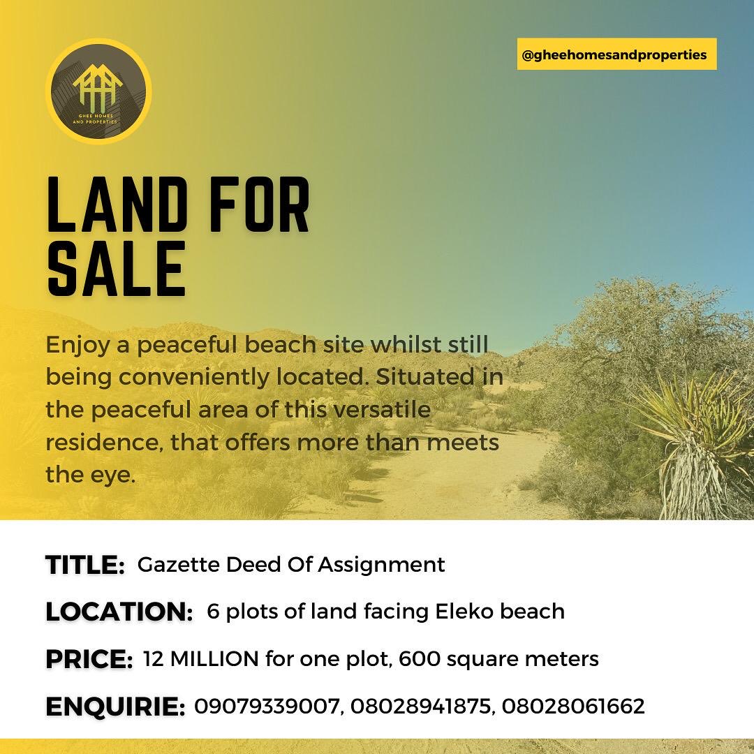 Oluwachinedu tweet media