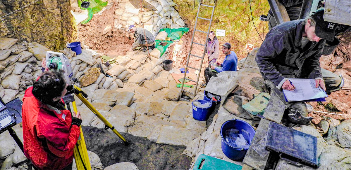 OyatsuMaster's tweet photo. 2022年8月3日
#考古学のおやつ 1/2
#Germany #Hohle_Fels #Middle_Palaeolithic #Neanderthal
#ドイツ 、バーデン＝ヴュルテンベルク州の #ホーレ・フェルス洞窟 で、 #中期旧石器時代 ・65000年前の鳥の骨。→
[Eberhard Karls Universität Tübingen (@uni_tue)]
https://t.co/QGhOlgk5dj https://t.co/v9esUP65uJ