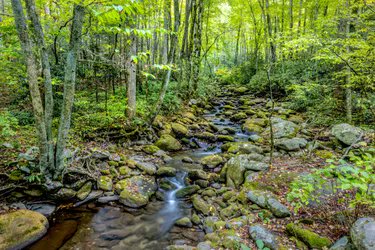 expandurlegacy's tweet photo. Gatlinburg, #Tennessee, is a good base for visiting this popular national park. #wanderlust  https://t.co/CtMoi5dv6P https://t.co/yUGTqMFRbm