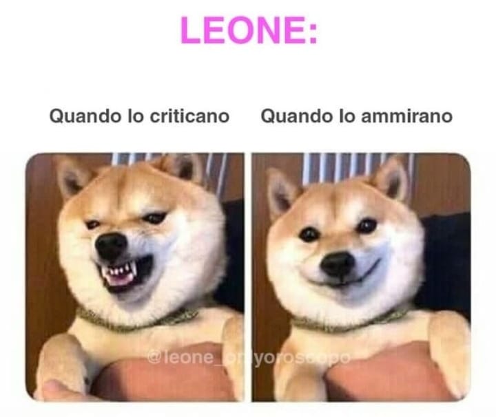 Il miglior segno lo possediamo entrambi 🦁 🦁. 
Auguri @laurelmfs 
#HAPPYBDAYLEONCINA 🦁