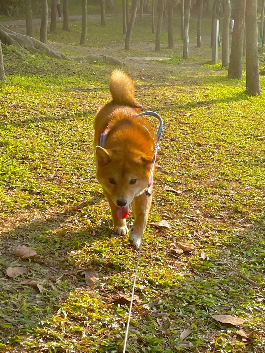 wgdbfns's tweet image. It is very happy today