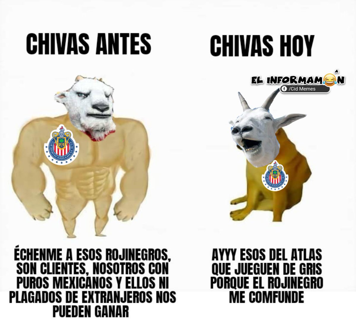 EL INFORMAMÓN tweet media
