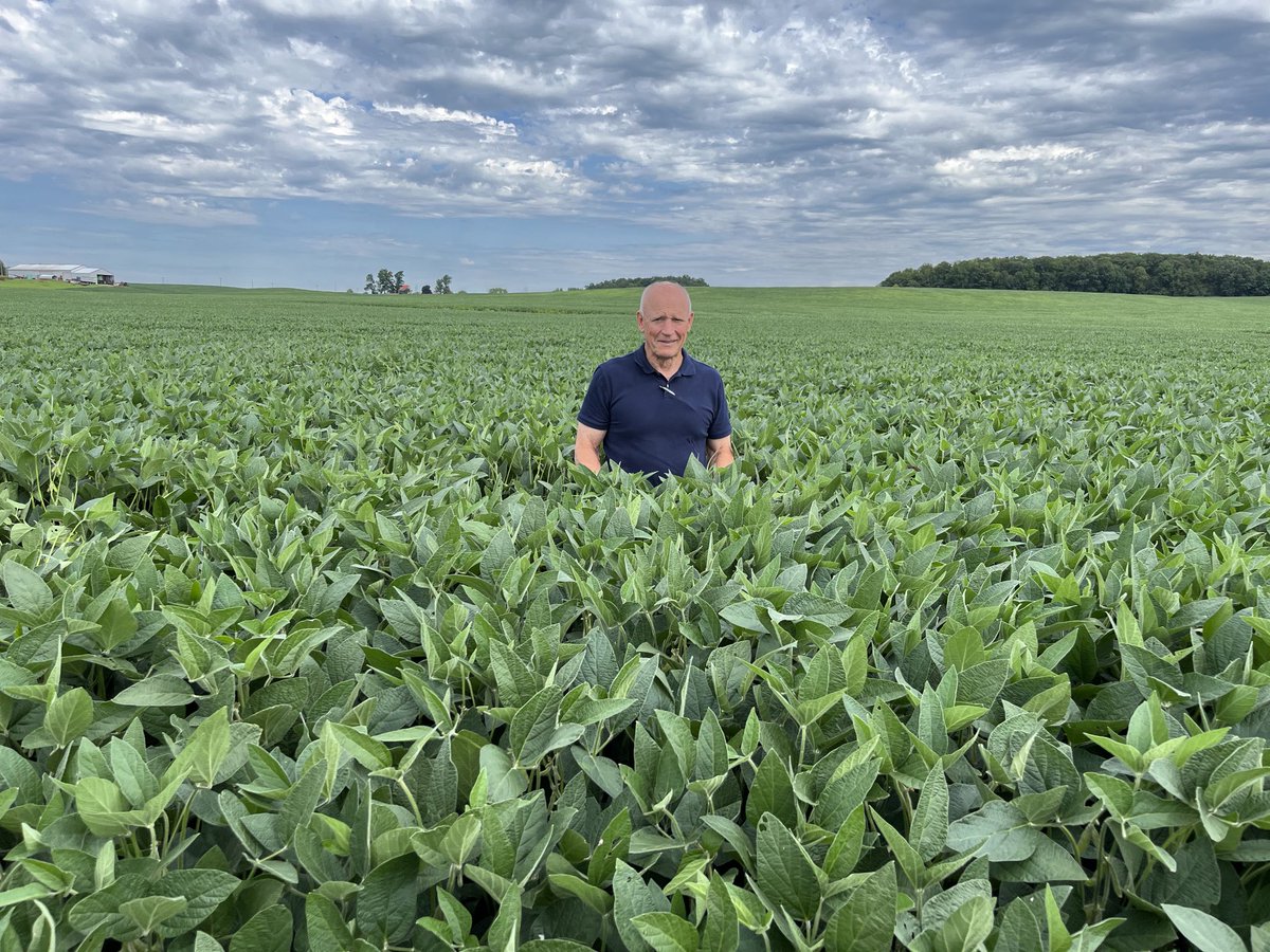 bobjoehl's tweet photo. How do you manage “13 years” Continuous Soybeans? Alec, Roann, IN, Grower has a plan! Plant @Stine #25eb32, maintain hi fertility, control all weeds and use $making seed treatments including #CeraMax, #NHibit, #Azo/Pseudo & #DuoIM75!! https://t.co/h0YvaYO19k