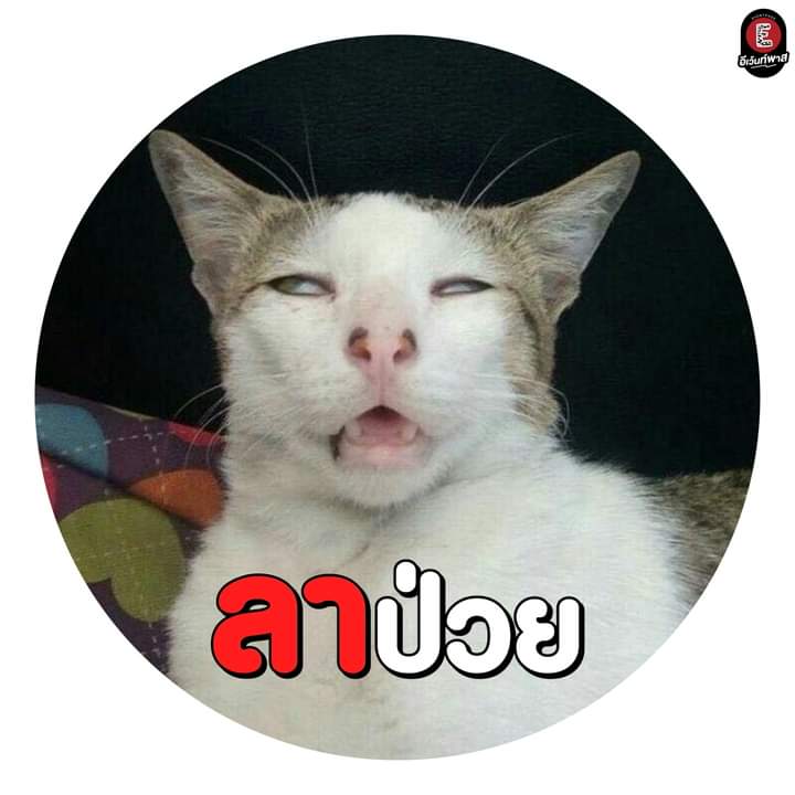 lonely_in_dn's tweet photo. #NewProfilePic https://t.co/GhifLDWwjB