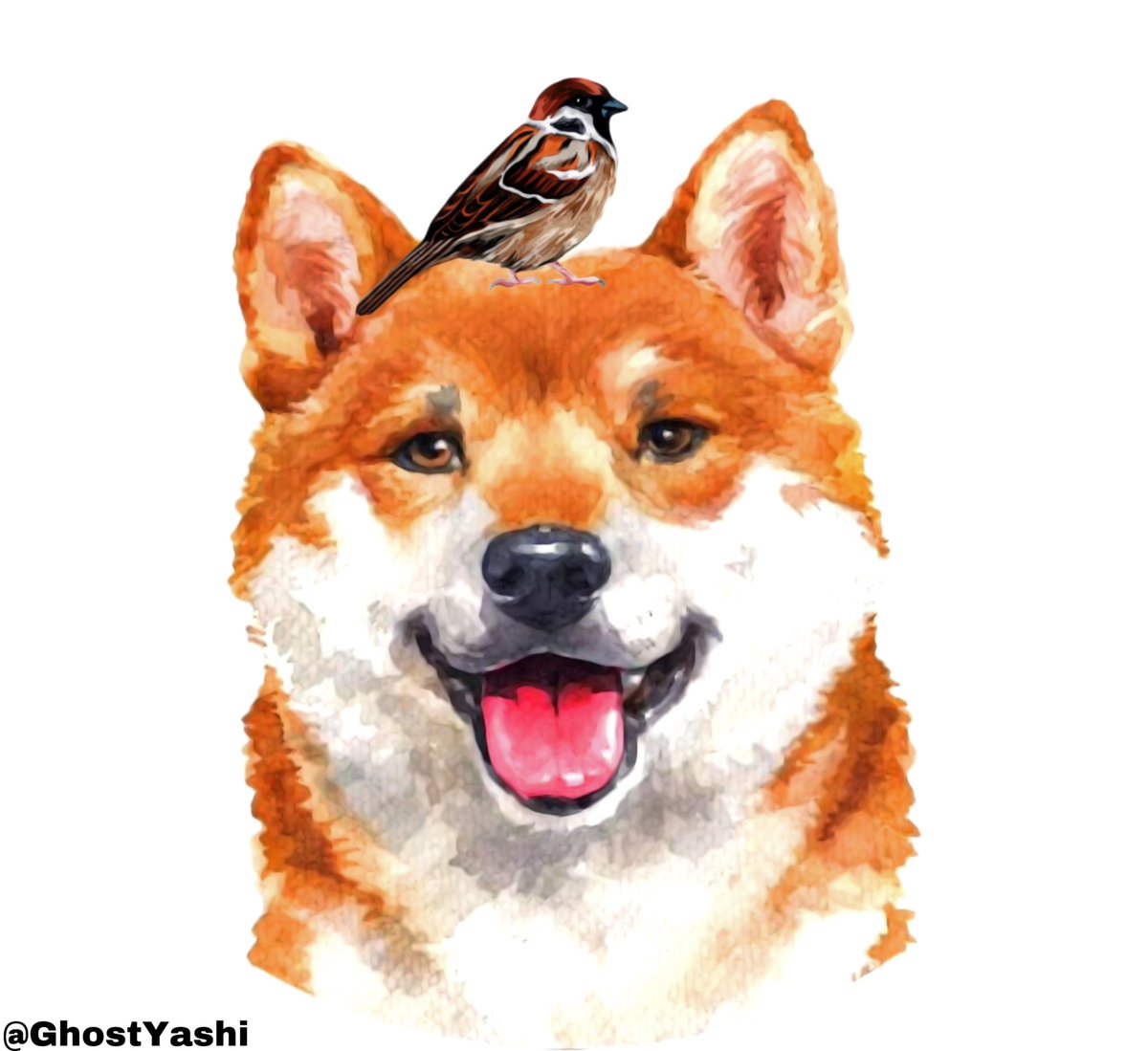 Agent00_Sparrow's tweet photo. @steveaoki @MetaZooGames #SUZUME $SUZUME #SHIB #LEASH #BONE #KOBAYASHI @s_shitakiri @DevKobayashi @Shibtoken @ShytoshiKusama

#SHIB x #SUZUME

The ❤️ is real

A Shiba inu's best friend🌸🐦❤️🐕 https://t.co/pMFGQOtP2s