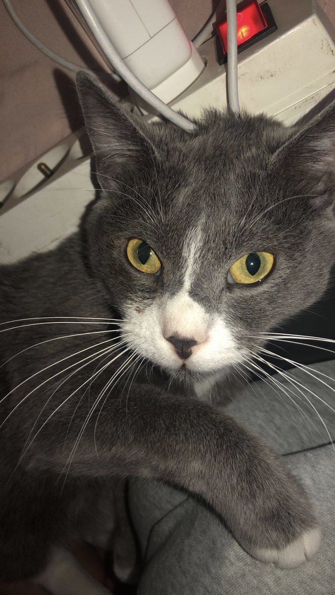 IL EST TROP BEAUUUMON AMOUR DE MA VIE QUE J’AIME AAAAARGHHH  !!!!!😻😻💗💗💗💗