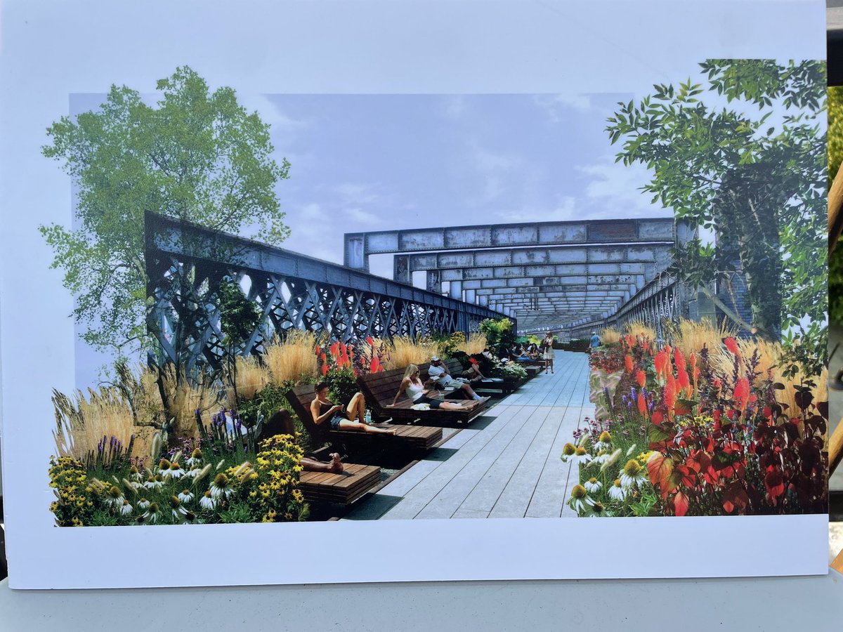 Beth Rose Hopper tweet media