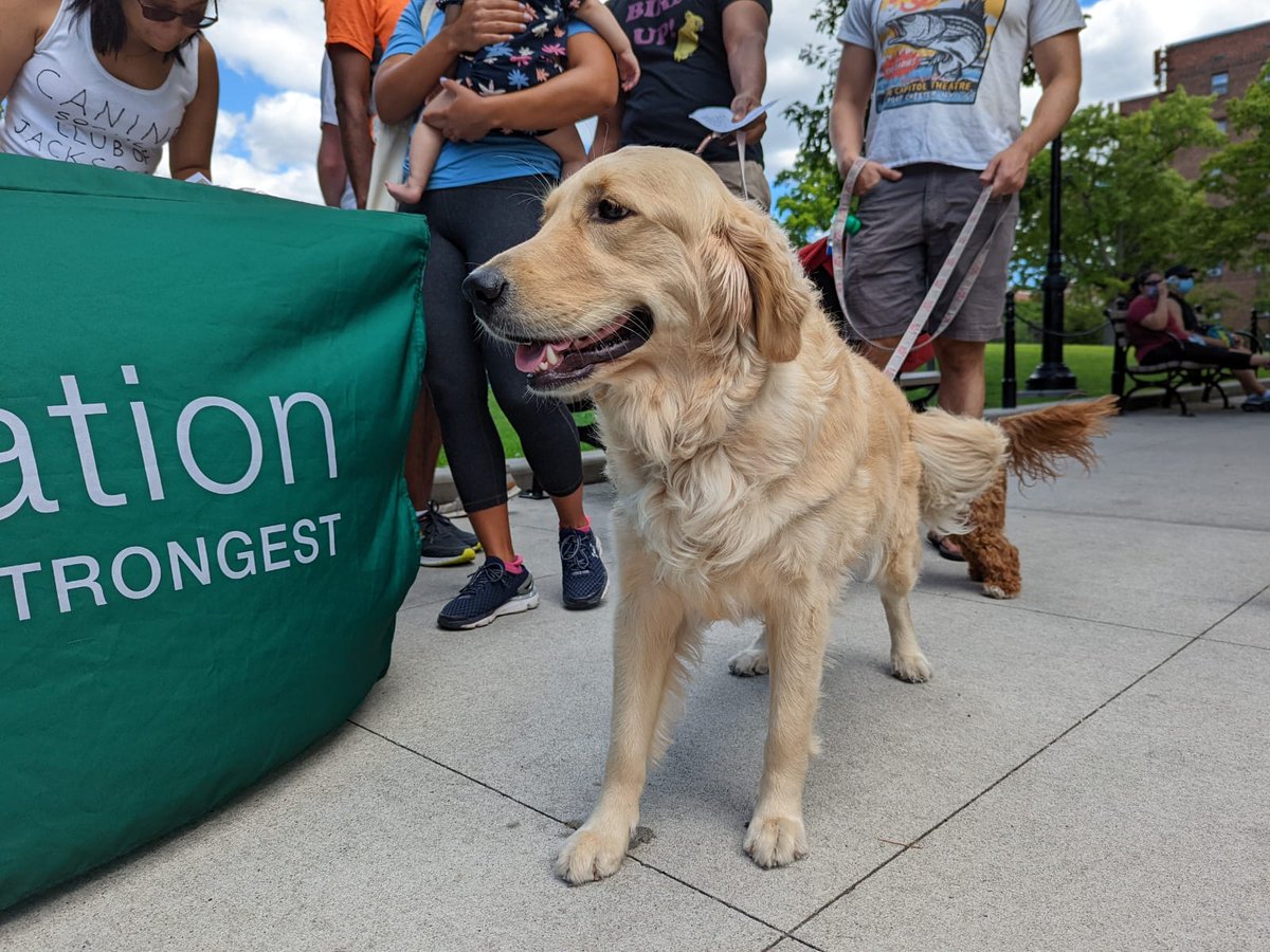 voteshekar's tweet photo. Thanks @nycsanitation &amp; Canine Social Club of Jackson Heights for reminding our dog owners to Scoop The Poop to keep our neighborhood beautiful! https://t.co/fBonELb27n