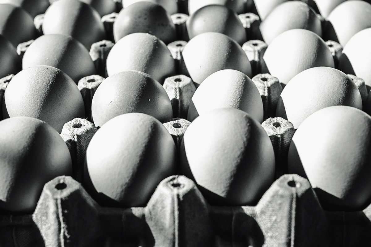 Caja de Huevos - 2020