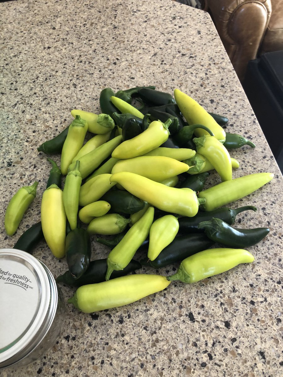 tuckster04's tweet photo. Hot peppers anyone? https://t.co/RpnnMWVy6U