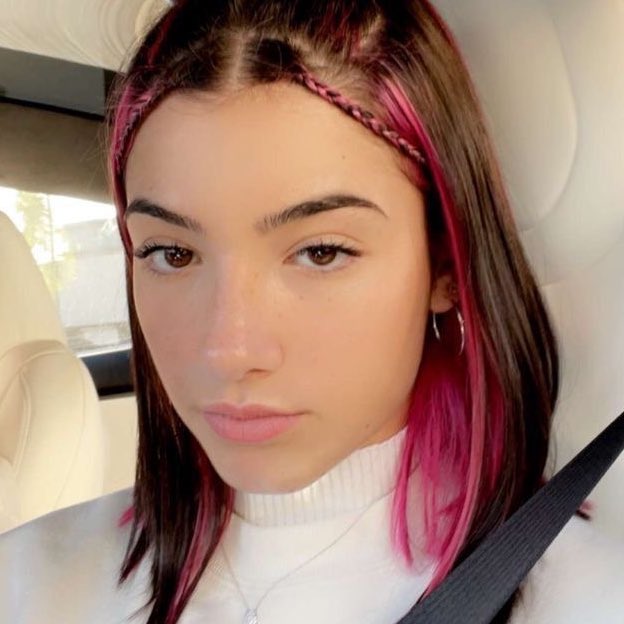 talkaroundit's tweet photo. There will always be a special place in my heart for pink hair charli https://t.co/gbrWxxZTHx