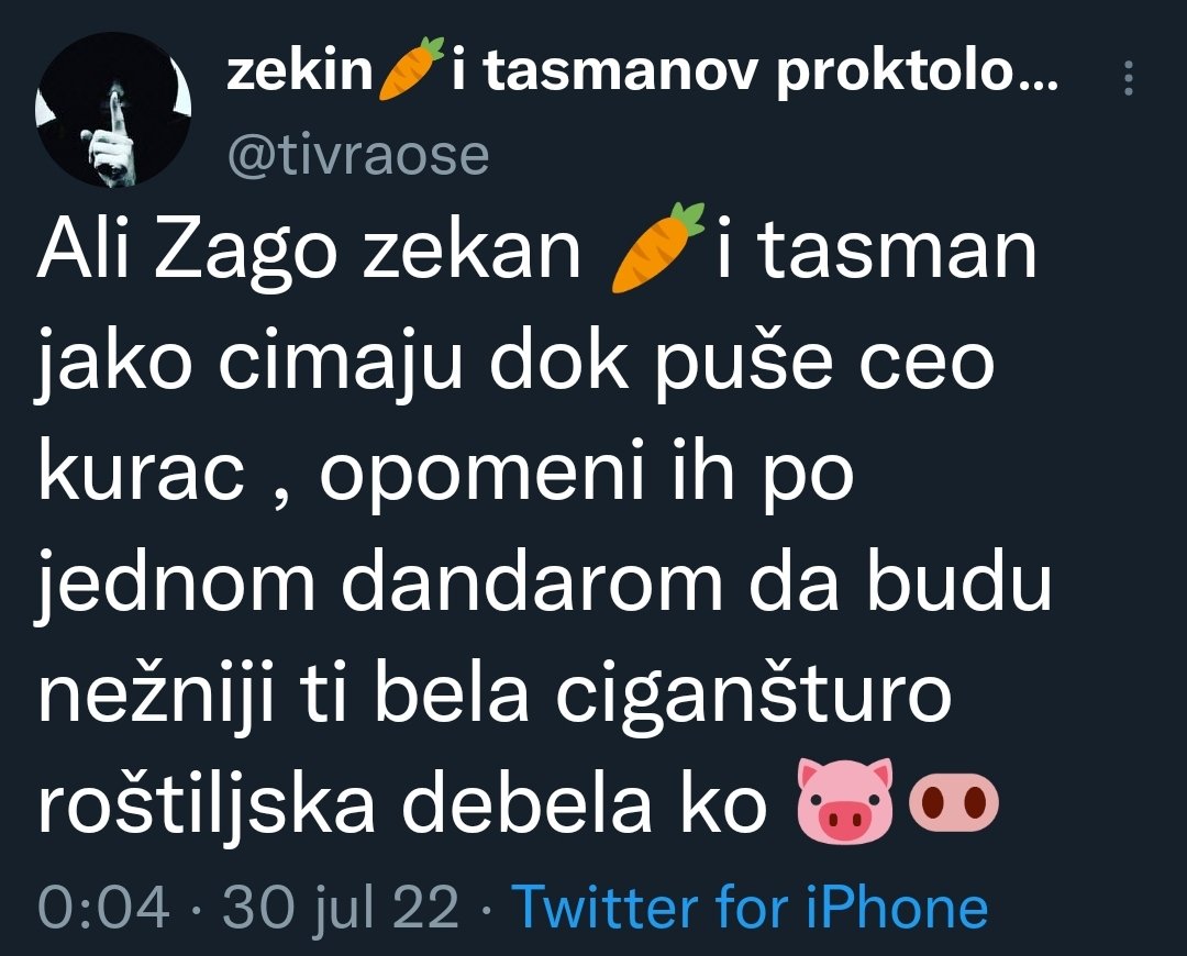 RetkoGovno's tweet photo. Volim i ženu svoju da ponižavam, jer nije ni ona ništa bolja od mene https://t.co/HxiULMhCvV