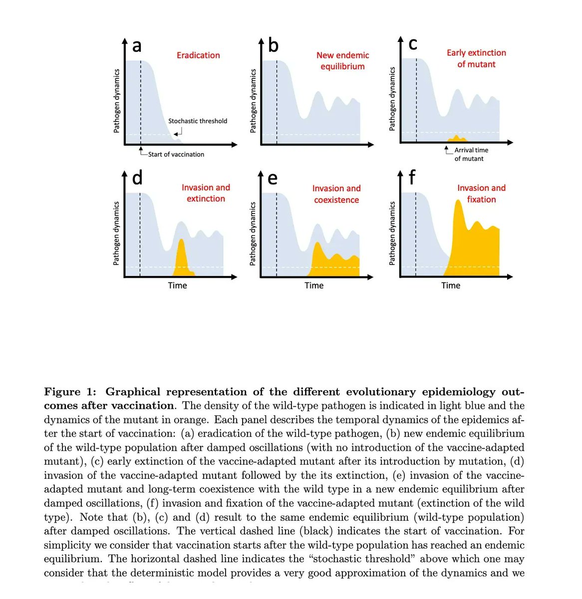 Thomas_Wilckens's tweet photo. Neue Studie: Aktuelle REAL-WORLD #MassenImpfkampagnen erhöhen ggf. das Risiko einer schnellen #Coronavirus-Adaption, d.h. die #Evolution neuer #ImmunEscape #Varianten #Mutation #Impfstoff #covid19 #booster #Impfung #Impfpflicht #IfSG @BMG_Bund @rki_de https://t.co/z6XaHYo7Yg https://t.co/IlohhU0Aww