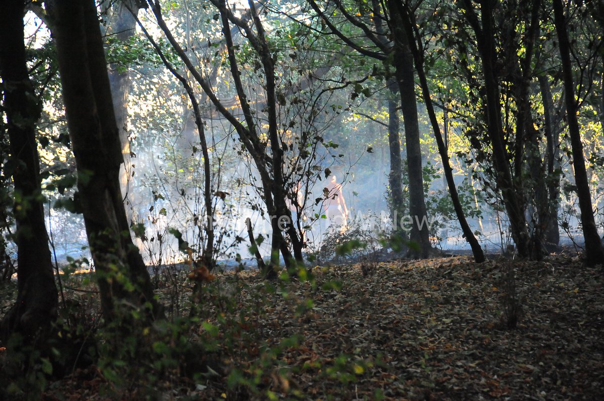 Hiownews's tweet photo. A large fire broke out in the fields beside the #Calmore Industrial area of #Totton this afternoon. 

Fire crews from across the area have been in attendance and are still dampening down smaller areas still alight.

https://t.co/N8Smb0Qy8O

@HantsIOW_fire @hiwfrs_control https://t.co/iCzM8opOrI