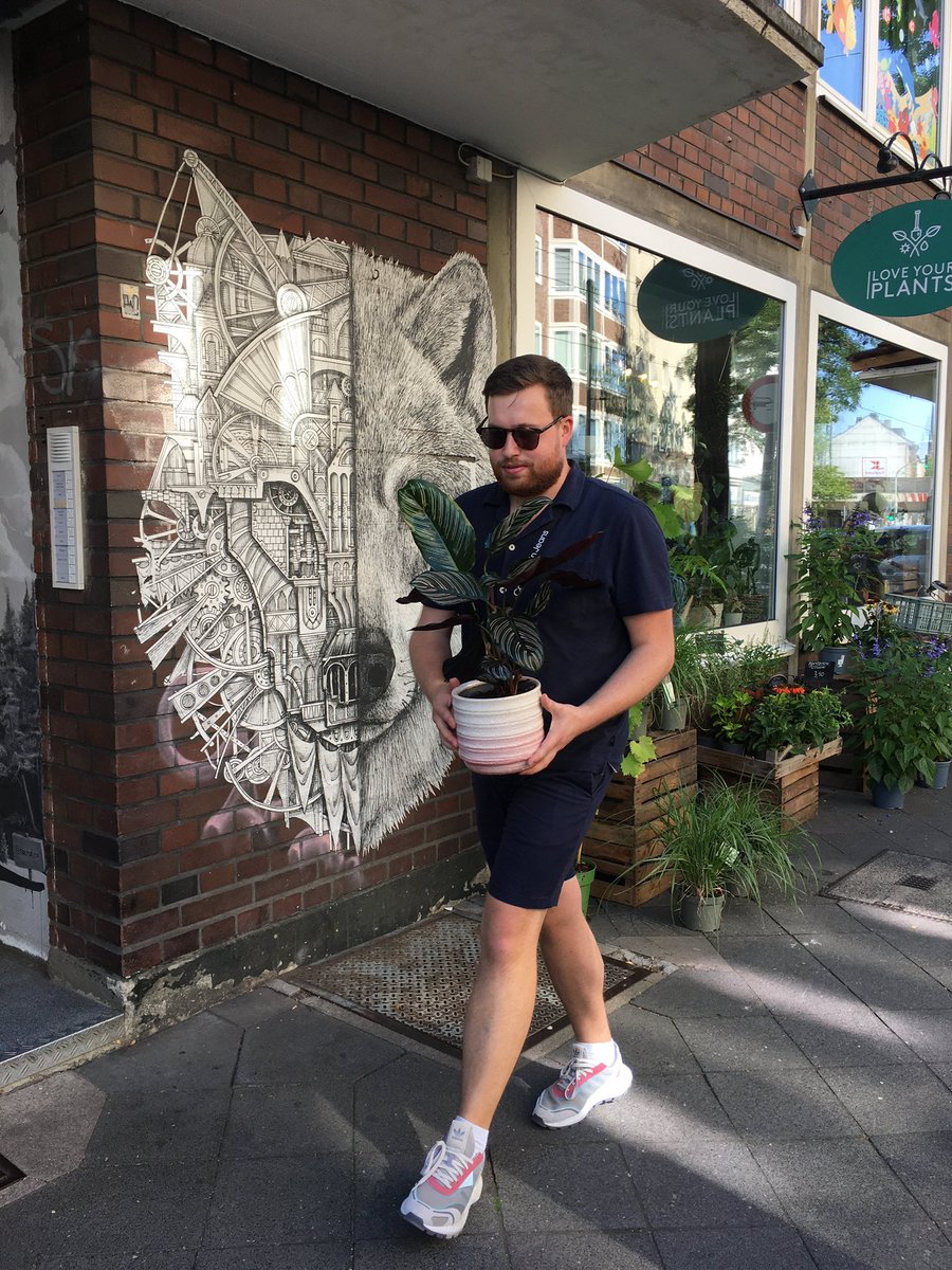 lukween's tweet image. call me #plantdaddy 🌱