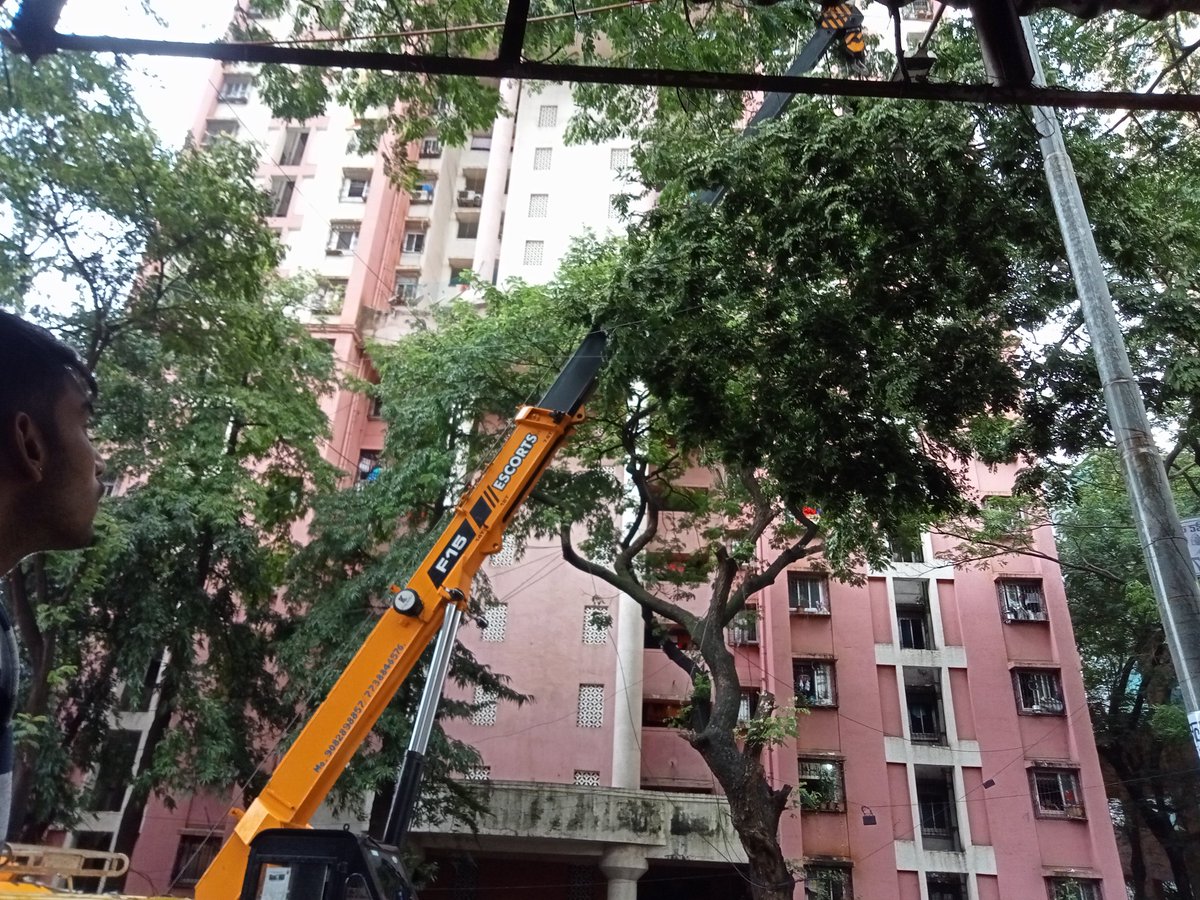 INCBabitaSharma's tweet photo. मेरी कई शिकायतों के बाद आज BMC वाले मौर्या चाल के उपर से जा रही विशाल पेड कि डाली को काटने मे सफल रहे #BMC #ward53 #mumbaicongress https://t.co/YRjRQ2evzn