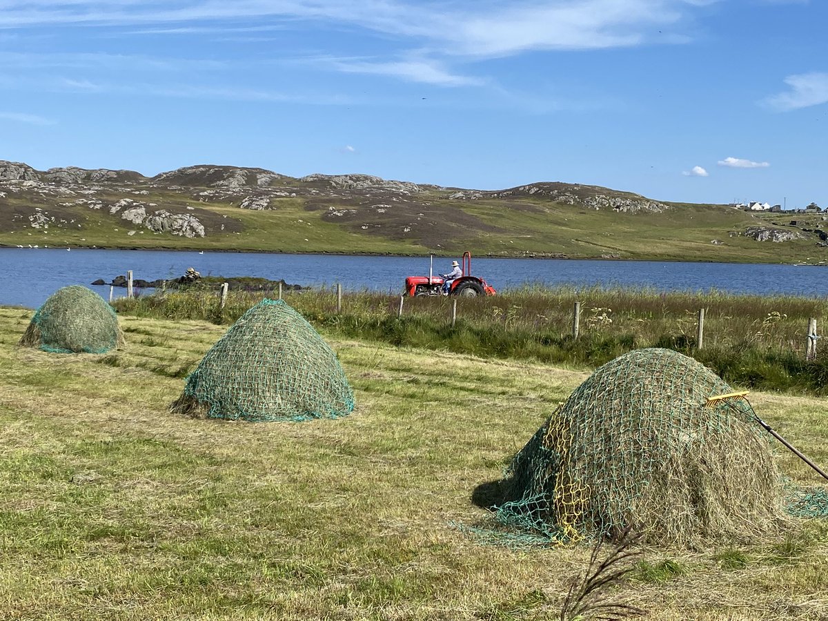 Kylebroughlaun Farm 🇺🇦 tweet media