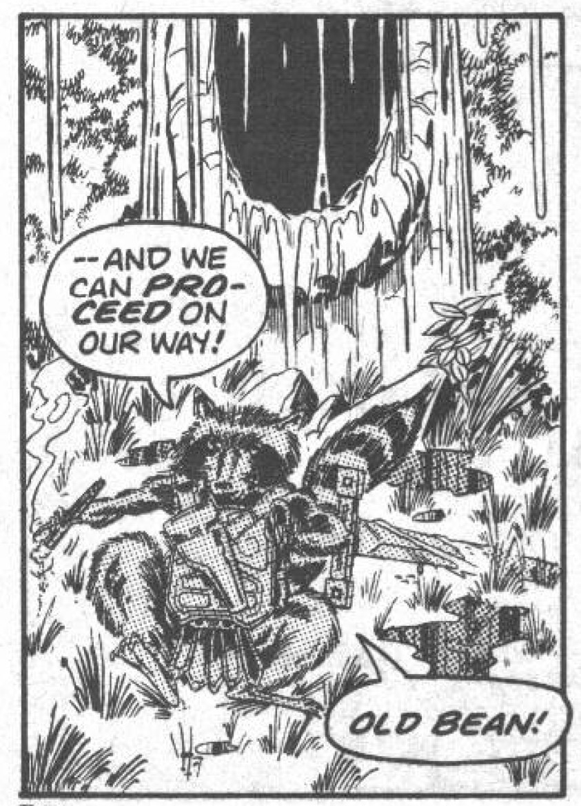heroicbeasts's tweet photo. After getting off on the wrong foot, Wayfinder and Rocky team up to go hunting, the start of a friendship that lasts literally *couples* of pages into the future.

#RocketRaccoon #PrinceWayfinder #KeithGiffen #BillMantlo #MarvelPreview #SwordInTheStar #RockyRaccoon #anthro https://t.co/fvtvGVsohT