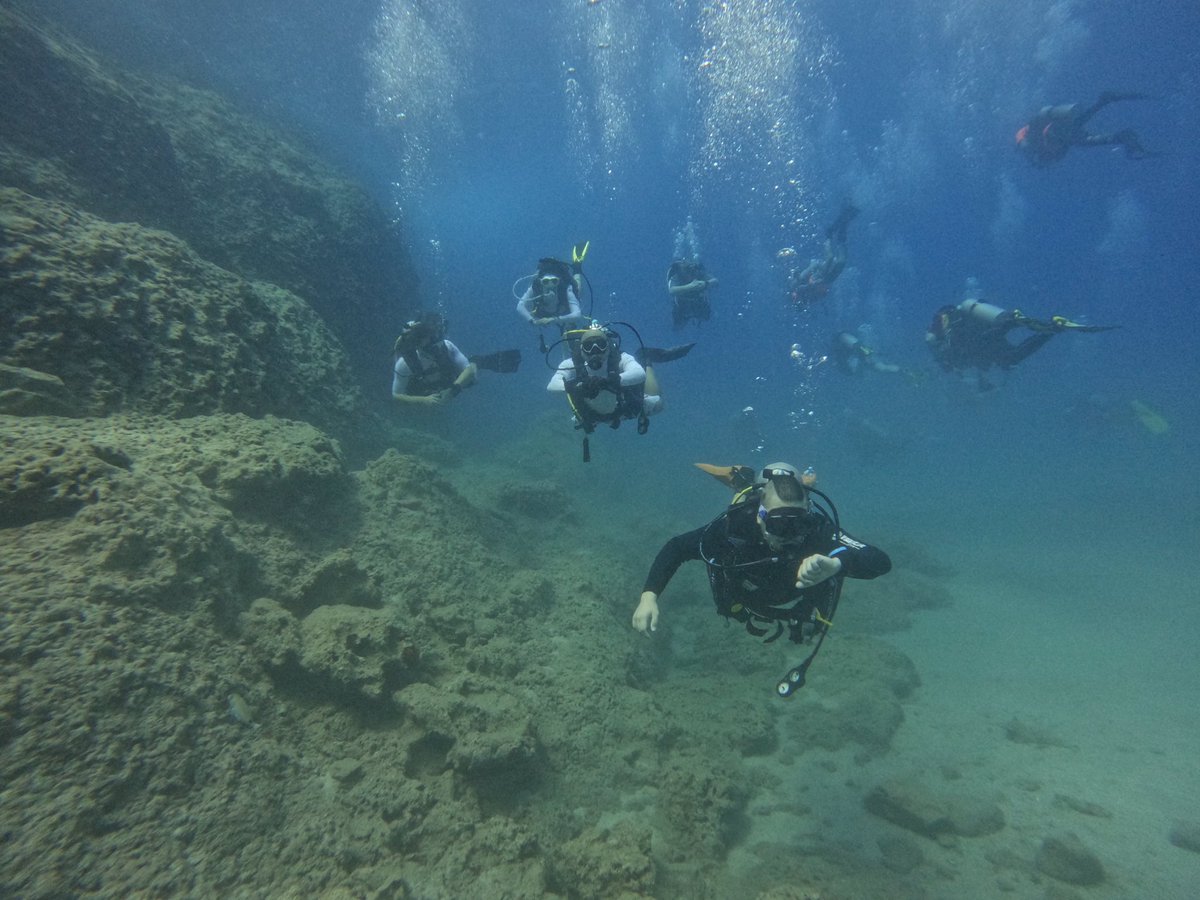 blackfishdive's tweet photo. Fethiye dalışımız Ağustos 2022 #dive #sucubadive #lifeguard #cankurtaran instagram @blackfishdive https://t.co/7igaHUOQja